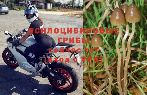 СК Абинск