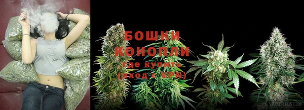 МДМА Новозыбков
