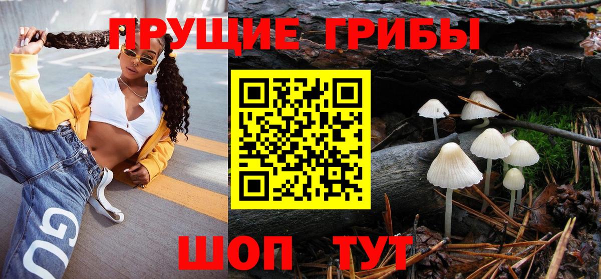 Галлюциногенные грибы мицелий  Псилоцибиновые грибы прущие грибы  Вход с VPN  цена наркотик  Усть-Кут 